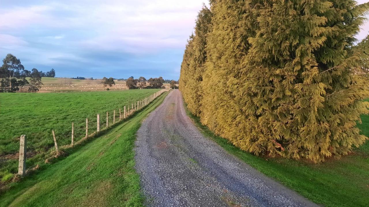 Greenfield Country Homestay Pukeawa Exteriér fotografie